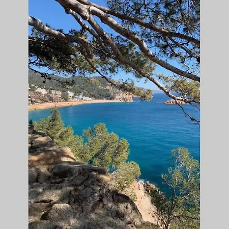 Casa Papallona Holiday home Tossa de Mar
